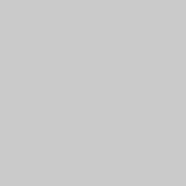 The American Institute of Architects (AIA) The American Institute of Architects (AIA)